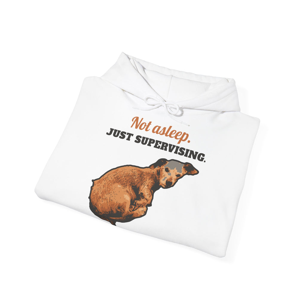 Sweat à capuche Not Asleep, Just Supervising – LeashFree Senior Club