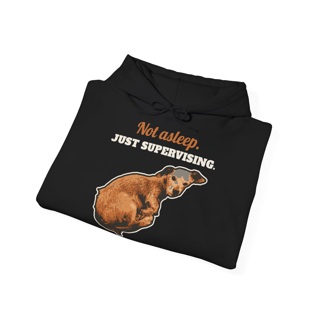 Sweat à capuche Not Asleep, Just Supervising – LeashFree Senior Club
