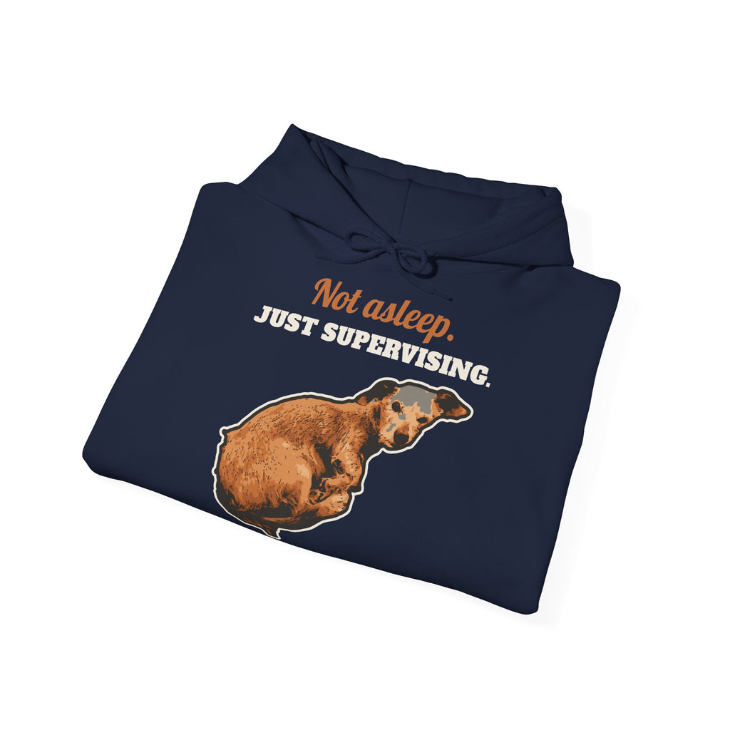 Sweat à capuche Not Asleep, Just Supervising – LeashFree Senior Club
